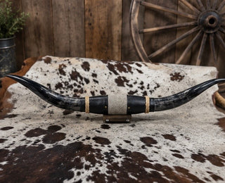 3.7ft Longhorn mount (As02)