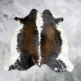 6x5.9ft Brazilian cowhide rug (z17)