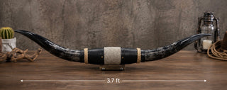 3.7ft Longhorn mount (As02)