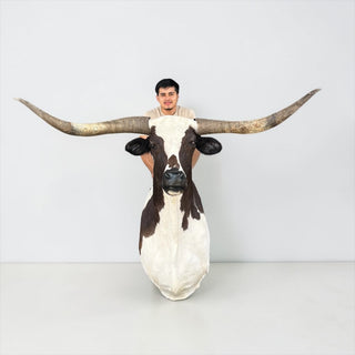 Longhorn shoulder mount