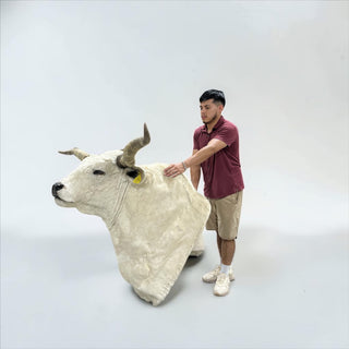 Cow Shoulder mount