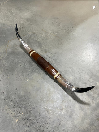 5-6ft Longhorn mount (f4)