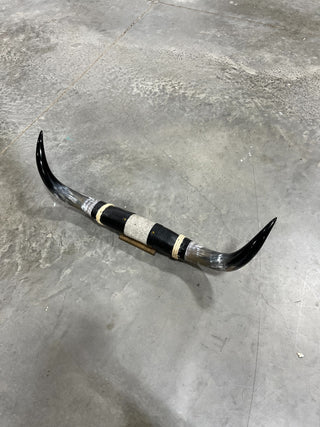 3ft Longhorn mount (f20)