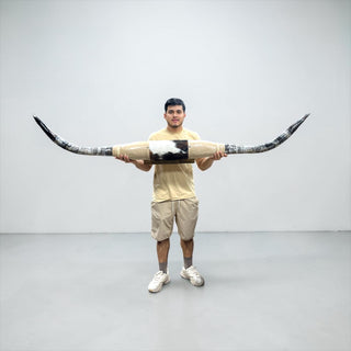 6.9ft Longhorn mount (d02)