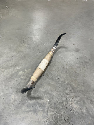 5-6ft Longhorn mount (f6)