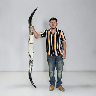 5-6ft rustic Longhorn mount (w02)