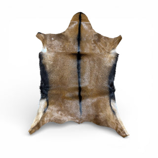 2-3’ goat hide (r24)