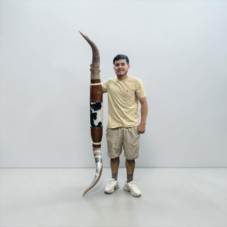 5.8ft Longhorn mount (d01)