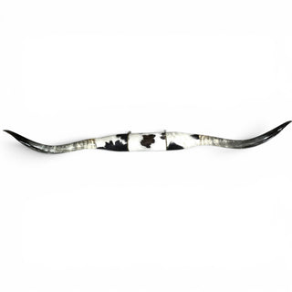 6.7’ Longhorn mount (p26)