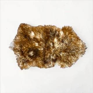 2x3ft Brown white with dusty tips Tibetan lambskin