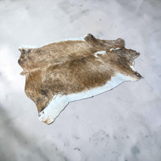 6.9x6.7ft Brazilian cowhide rug (b06)