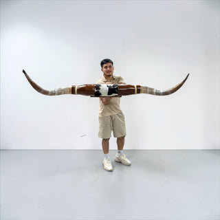5-6ft Longhorn mount (f49)