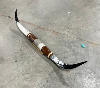 5.5ft Longhorn mount (d14)