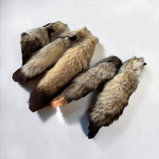 Red Fox tails