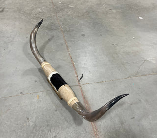 4.8ft Longhorn mount (d10)