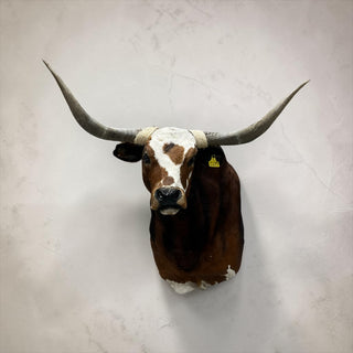 Cow shoulder mount