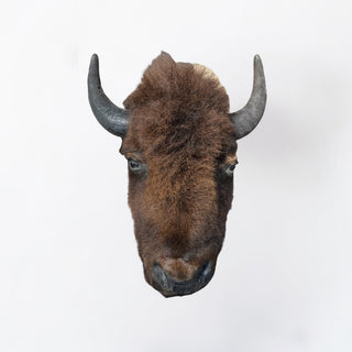 Bison head mount