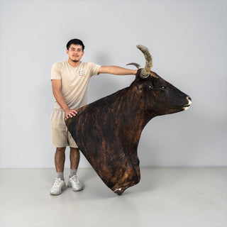 Longhorn shoulder mount