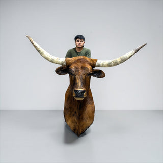 Longhorn shoulder mount