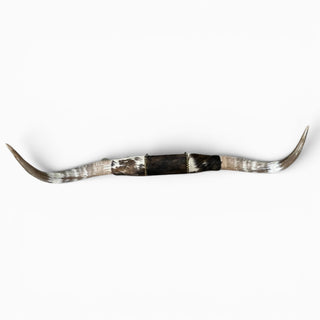 3.9 Longhorn mount (k20)