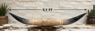 3.1ft Longhorn mount (As03)