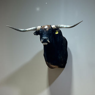 Cow shoulder mount