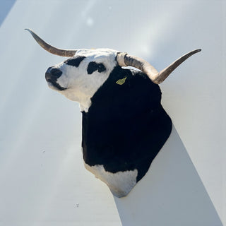 Black shoulder mount