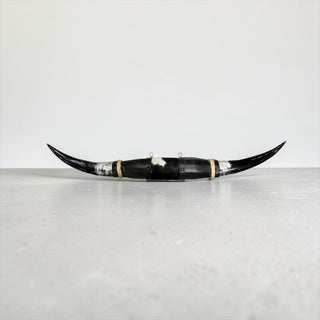 3-4ft Longhorn mount (f33)
