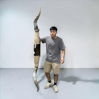 6.7ft Longhorn mount (b25)