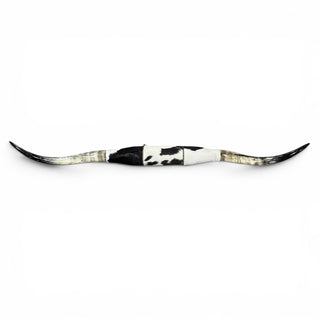 7.3ft Longhorn mount (p27)