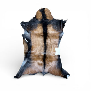 2-3’ goat hide (r40)