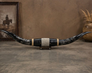 3.7ft Longhorn mount (As02)