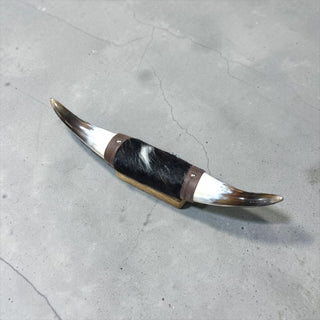 1ft Longhorn mount (d34)