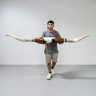 6.11ft Longhorn mount (b20)