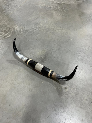 3ft Longhorn mount (f13)