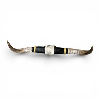 2.10’ Longhorn mount (p38)