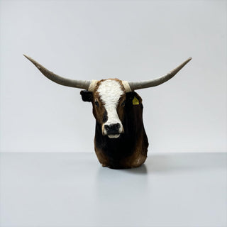 Cow shoulder mount