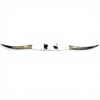 6.7ft Longhorn mount (p24)