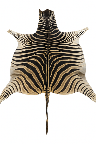 Genuine Zebra Hide