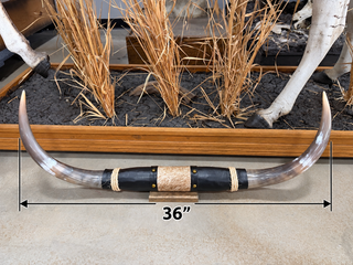 3’ Longhorn mount (KK05)
