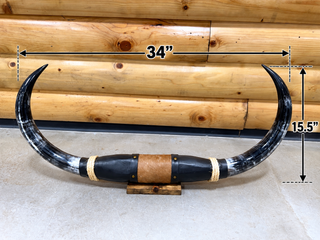 34” Longhorn mount (KK06)