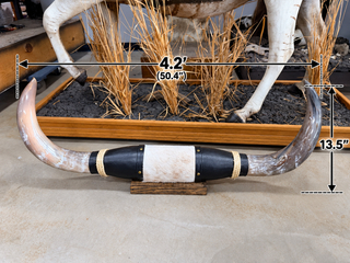 4.2’ Longhorn mount (KK02)