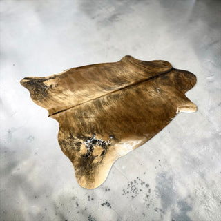 6.2x5.3ft Brazilian cowhide rug (a11)