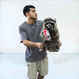 Raccoon mount