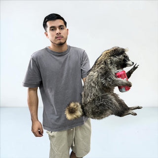 Raccoon mount
