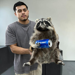 Raccoon mounts
