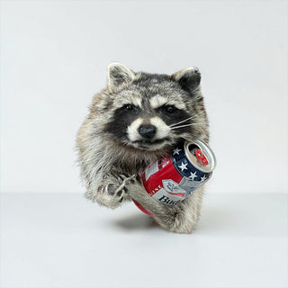 Raccoon mount