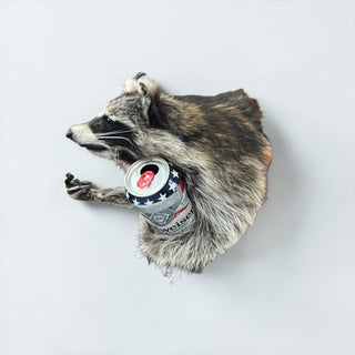 Raccoon mount