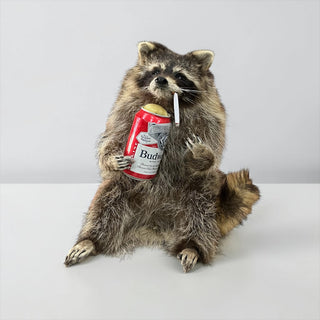 Raccoon mount