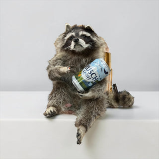 Raccoon mount
